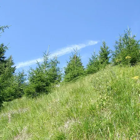 Aktiv Konukevi Oberhof (Thuringia)