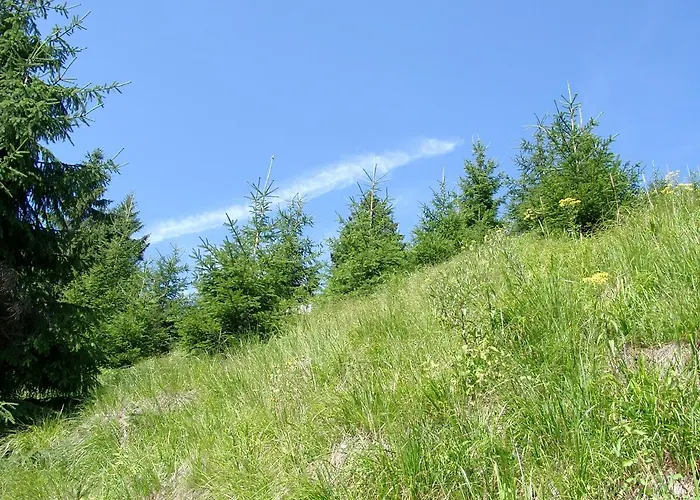 Aktiv Gasthof Oberhof (Thuringia)