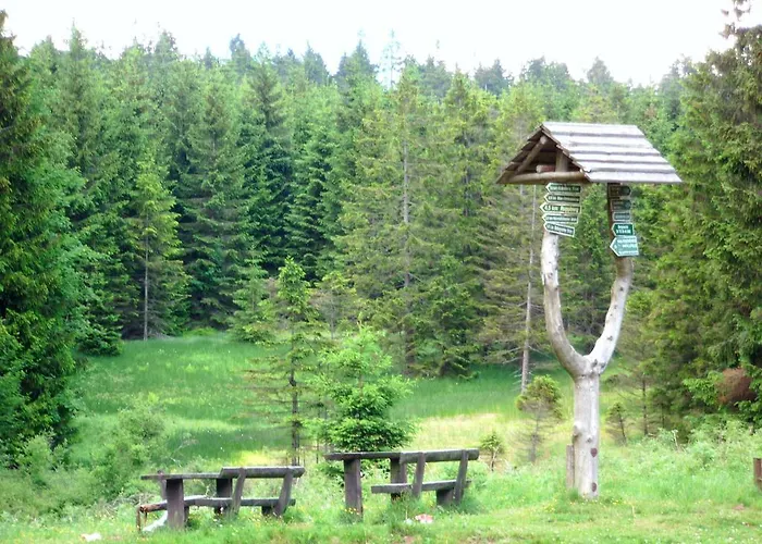 Aktiv Gasthof Oberhof (Thuringia)