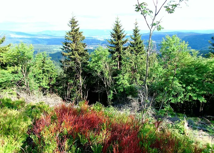 Aktiv 3* Oberhof (Thuringia)